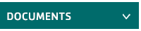 Document Information